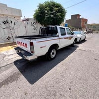 بيكاب • ٢٠٠٧ • صبوغ
