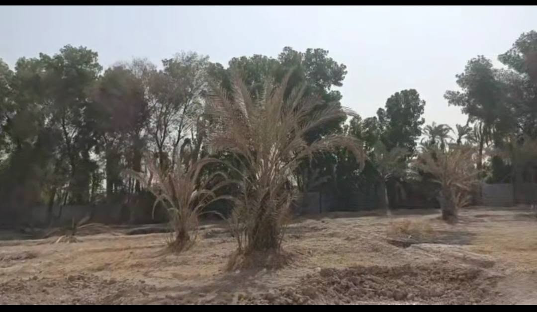 حمدان الرومية • ١٠٠٠م • وقف سني