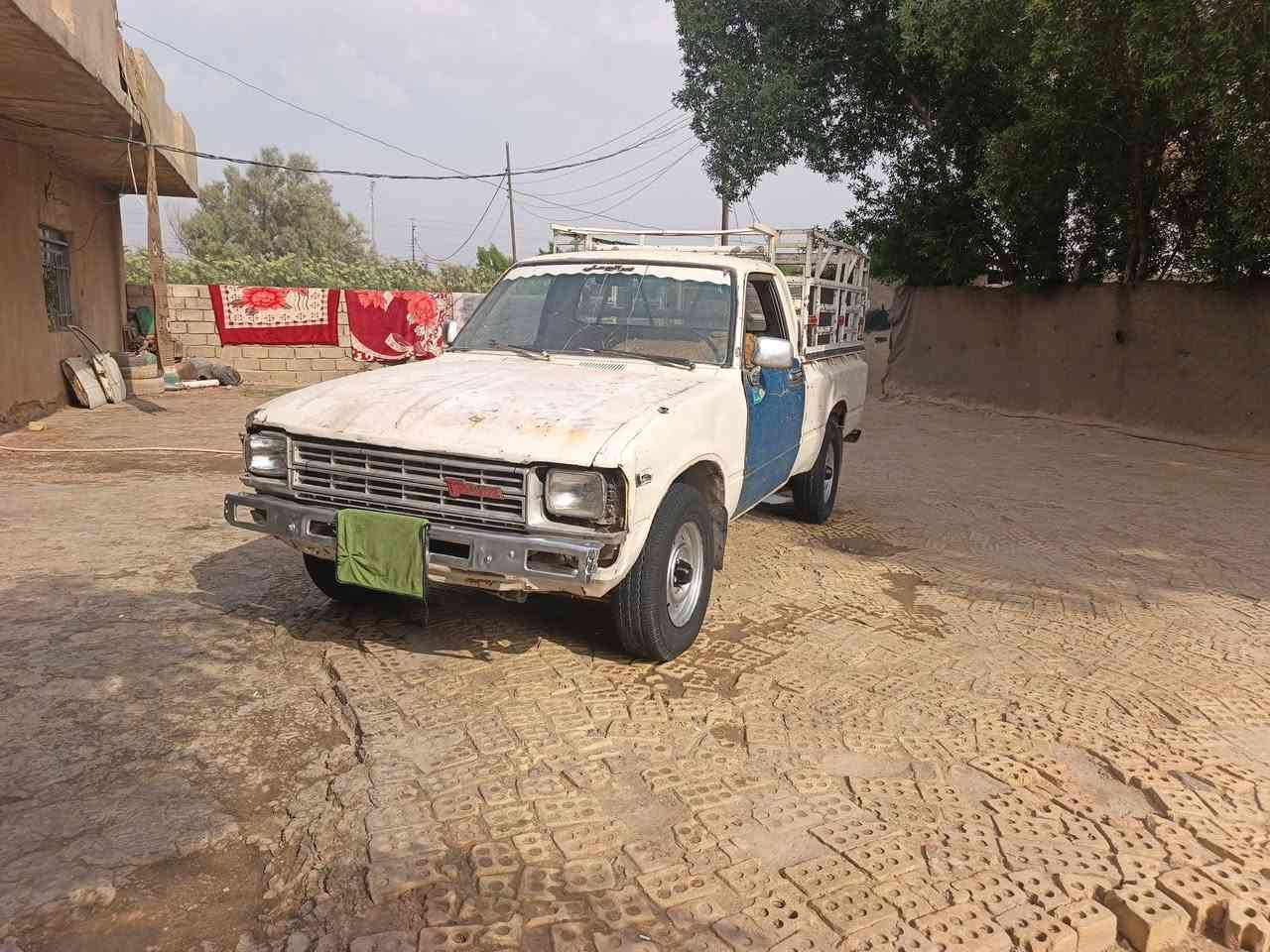 شاصي ٨٢ • مكفولات • رقم ديالى