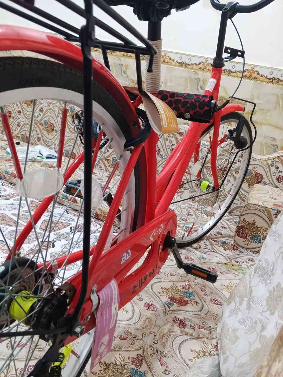 بيسكل PD نضيف السعر 95 وبي مجال *********** الشراي خل يراسل
