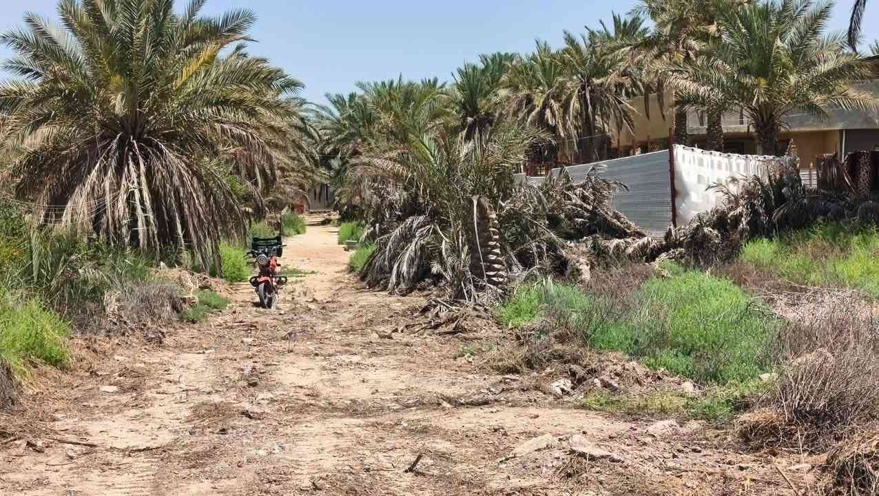 
قطعة ارض مساحتها 600 م سند 25 قرب المعهد الفني مقابل مدرسه ابو الفضل تبعد عن الشارع العام 400 متر 
للتواصل ***********

