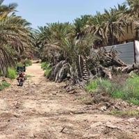٦٠٠م • قرب المعهد الفني • مقابل مدرسة ابو الفضل