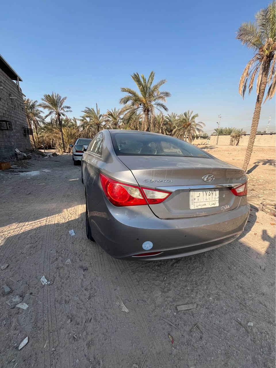 سوناته كوري • ٢٠١٢ • رقم بصره