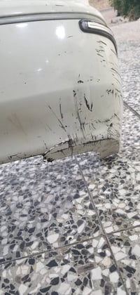 سني ٢٠٠٩ • أصليه • فطر من جوه