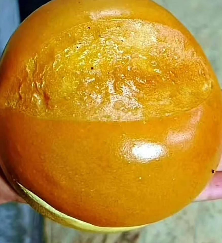 معجنات • حلويات • بغداد بابل كربلاء