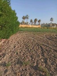 طويريج الرشيدة • دونم زراعي • سند 25