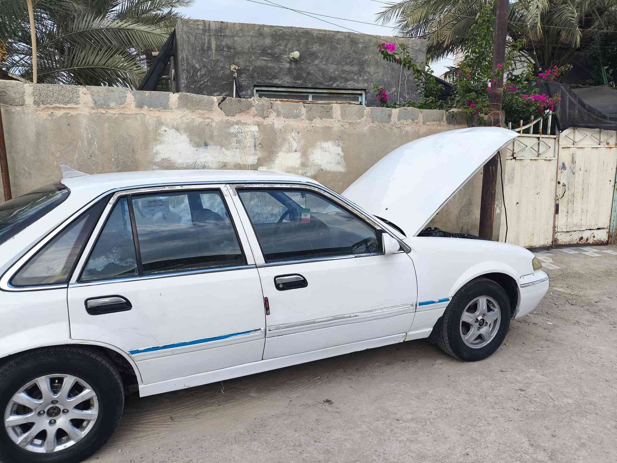 برنس فراشة • ١٩٩٦ • كربلاء