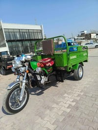 ستوته • وراق صولي • بابل