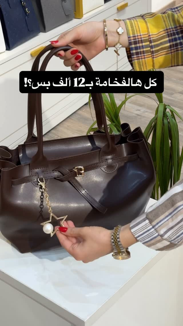 حقيبة كلاسيك • ستايل ناعم • بني