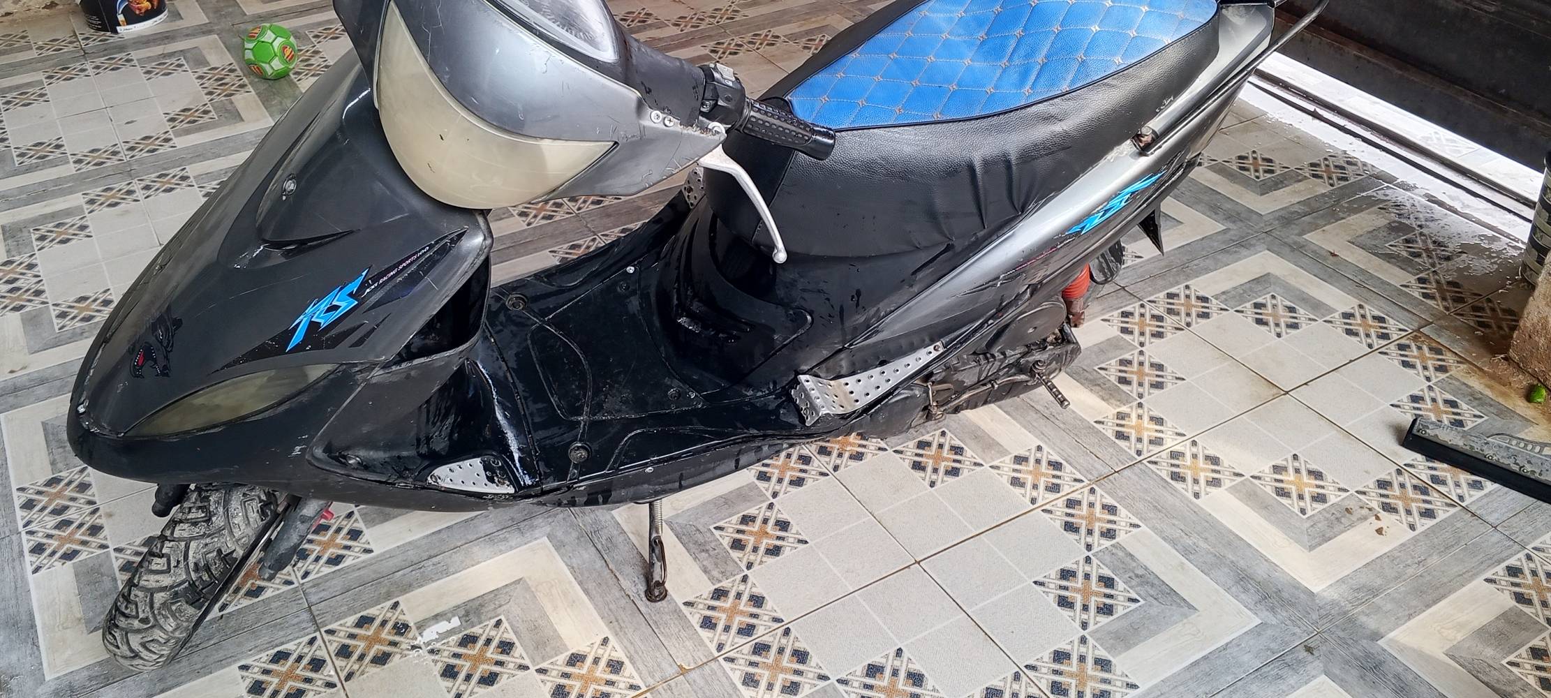 ماكس • نضيفه • بوش ابلادي