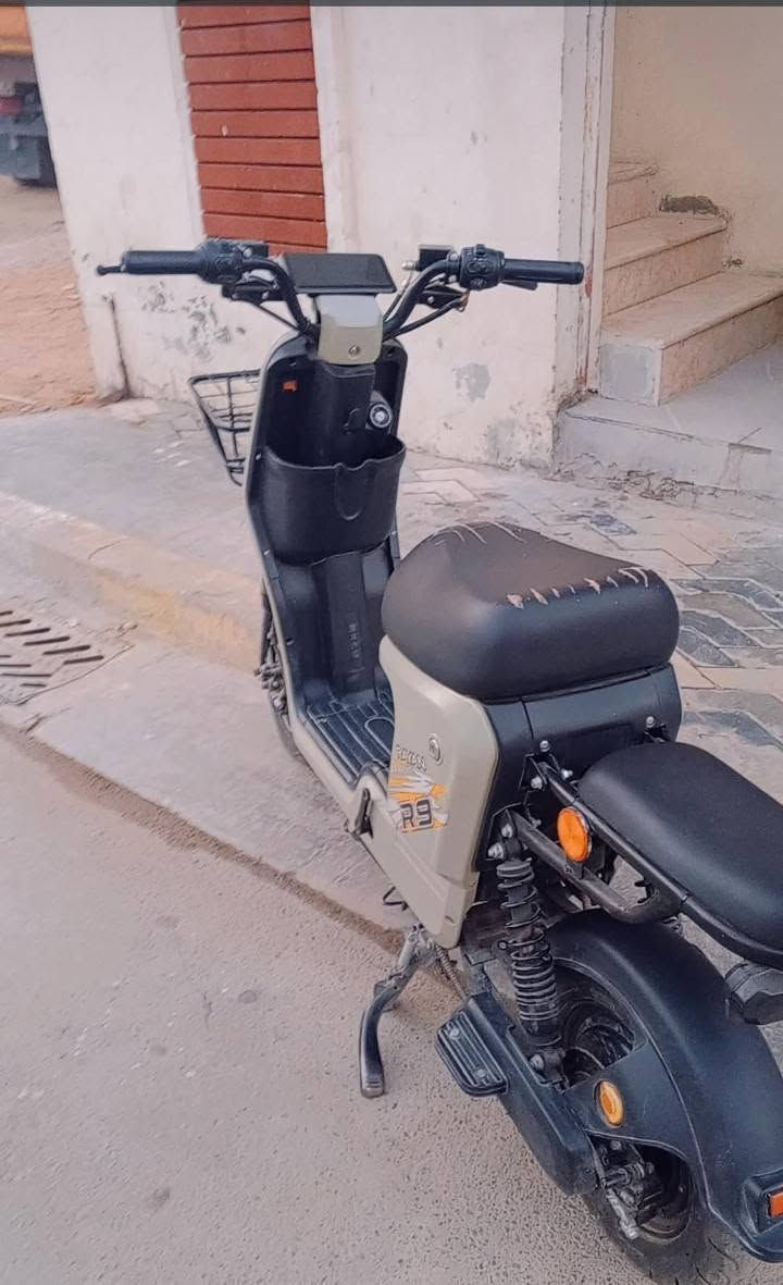 دراجة شحن • جديد • الغزالية