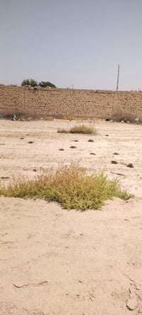 قرب جامع الكريم • ١٠٠م • واجهة٥م