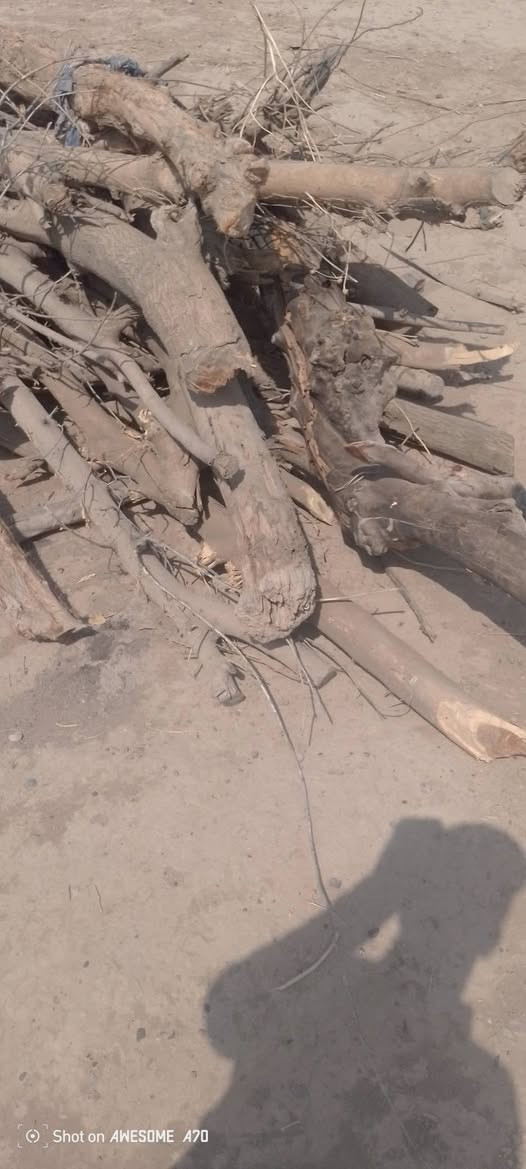 السلام عليكم ورحمة الله 
يوجد حطب للبيع
السعر حسب المراهم 
الاستفسار الإتصال على الرقم
 ***********

نص مكتوب في الصور:
- Shot on AWESOME A70