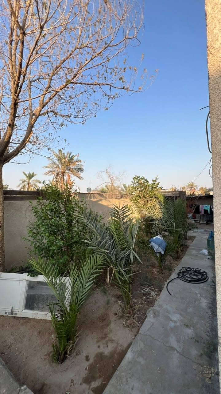 طابو زراعي • ٤٠٠م • بيتين