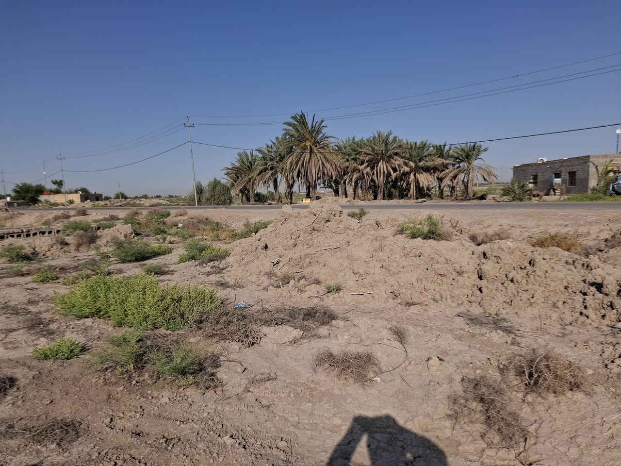 ارض زراعيه للبيع بالشافعيه قريه امروفه تبعد عن الشارع العام 5كيلو مساحه الارض 17دونم تبليط ماي اساله ابنصهه كهرباء نزلتهه عل الغتاره ***********
