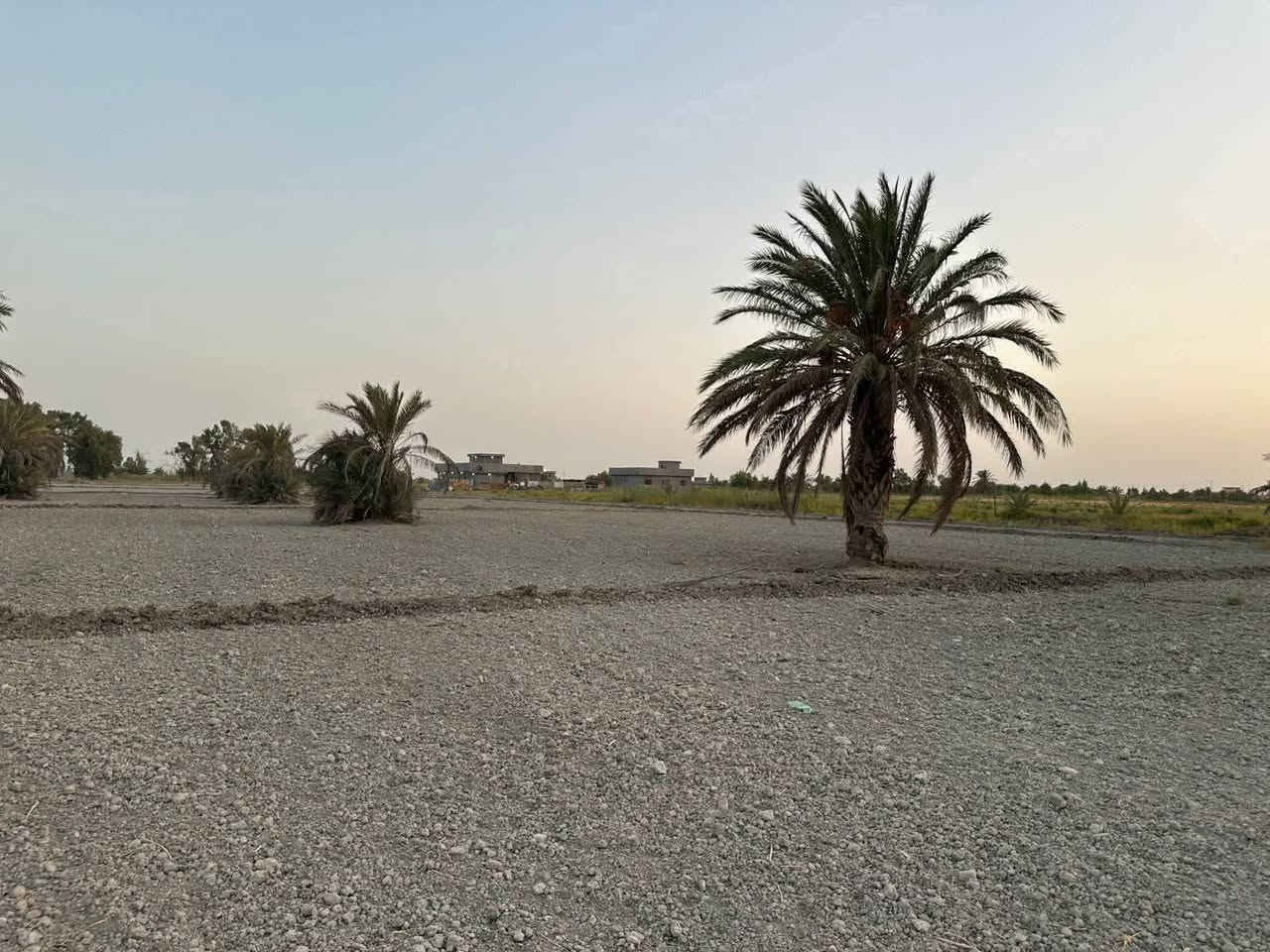 🌴 للبيع أرض مميزة 🌴
إخوان، للبيع 5 دوانم ونص بسمي، سند 25 طابو الفلوجة، منطقة شيخ عامر – سبع البور.

✅ الأرض بيها نخل حم​ال وأنواع مختلفة .
✅ ماء سقي وماء إسالة الكرخ متوفر.
✅ كهرباء موجودة.
✅ ثاني قطعة من الشارع.
✅ قريبة على جامع الإمام الحسن.
✅ تبعد عن الكاظمية تقريباً ربع ساعة.

الأرض مخدومة وجاهزة للزراعة، وتصلح همين للاستثمار وسوي بيها مزرعة أو شاليهات، خصوصاً والمنطقة كلها مزارع وشاليهات.

🔹 البيع من دونم فما فوق.
🔹 الأرض ملك سند ٢٥ طابو الفلوجة وباسمي مباشرة.
*********** ***********
