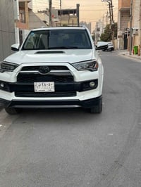 فور رنر لمتد • ٢٠٢٢ • ٧ راكب