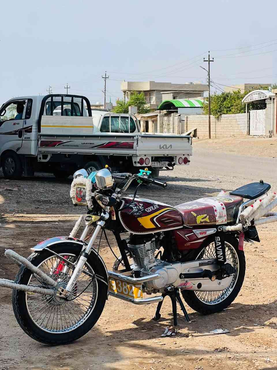 تايكر • نضيفة • مكفولة