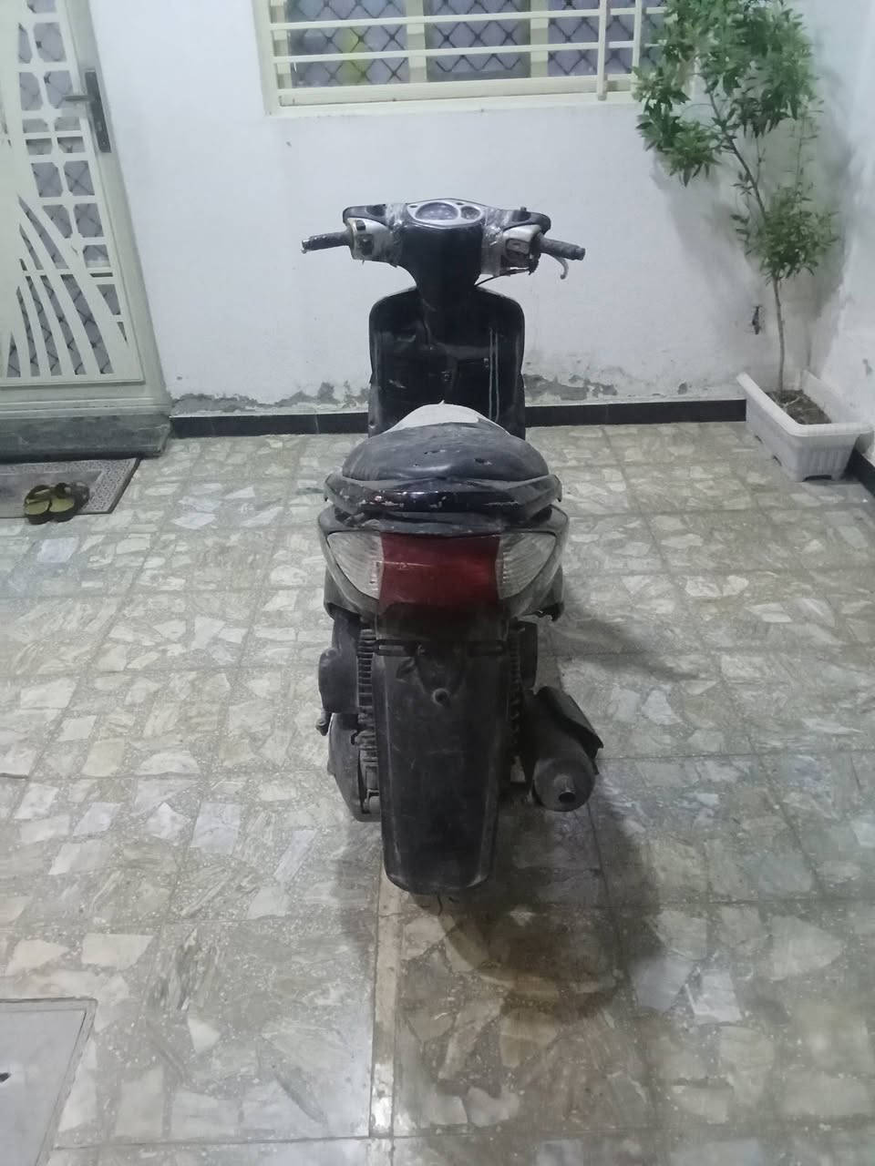 سكنس • ياباني • ١١٠