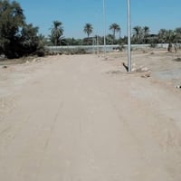 ابي الخصيب حمدان • ٢٠٠م • طابو عراقي زراعي