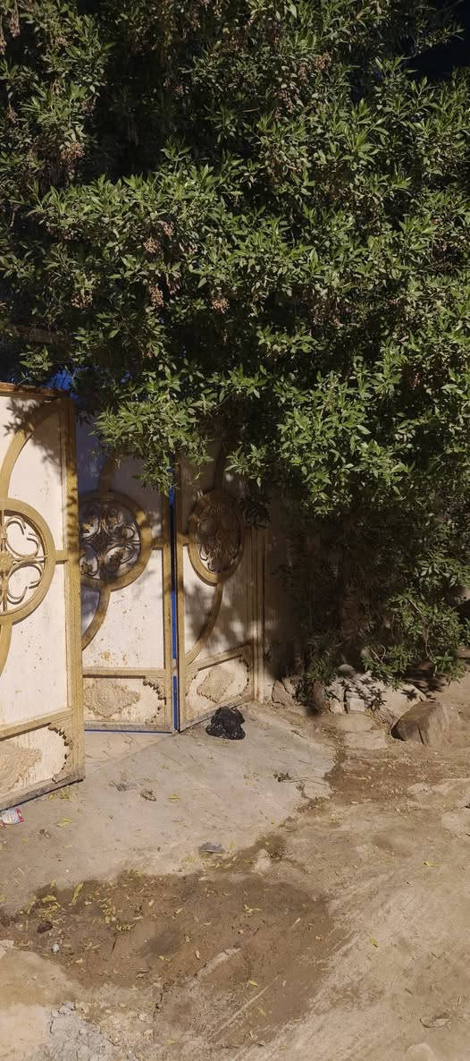 سني حمدان • ٢٣٠م • غرفتين