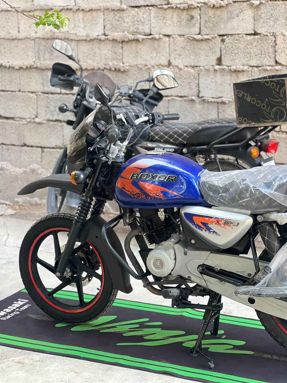 بوكسر جبلي • ٢٠٢٣ • اوراق