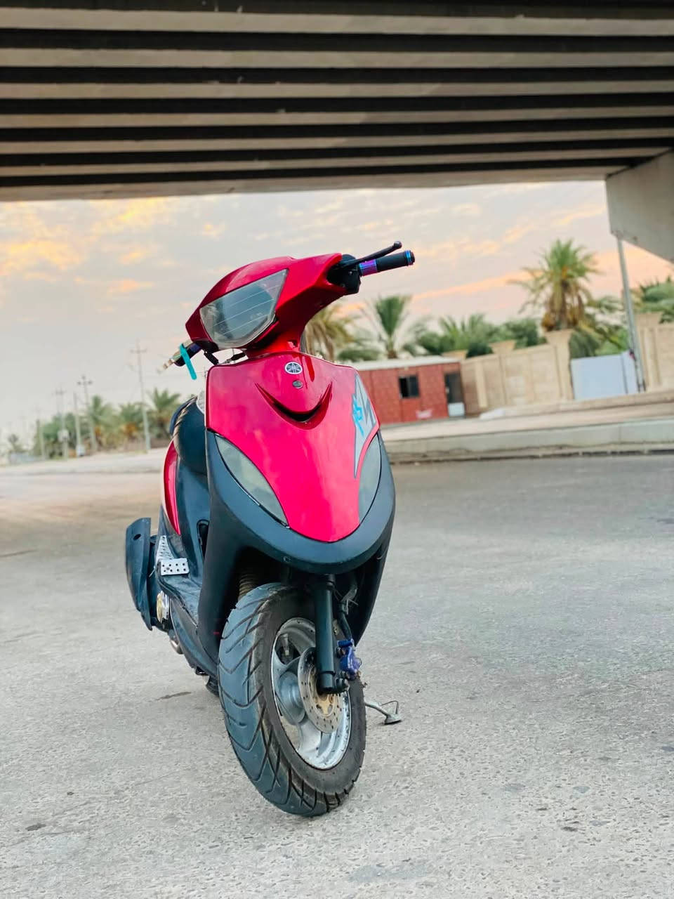 ماكس عدلة