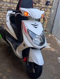 سكنس نوزل • ياباني • اوراق