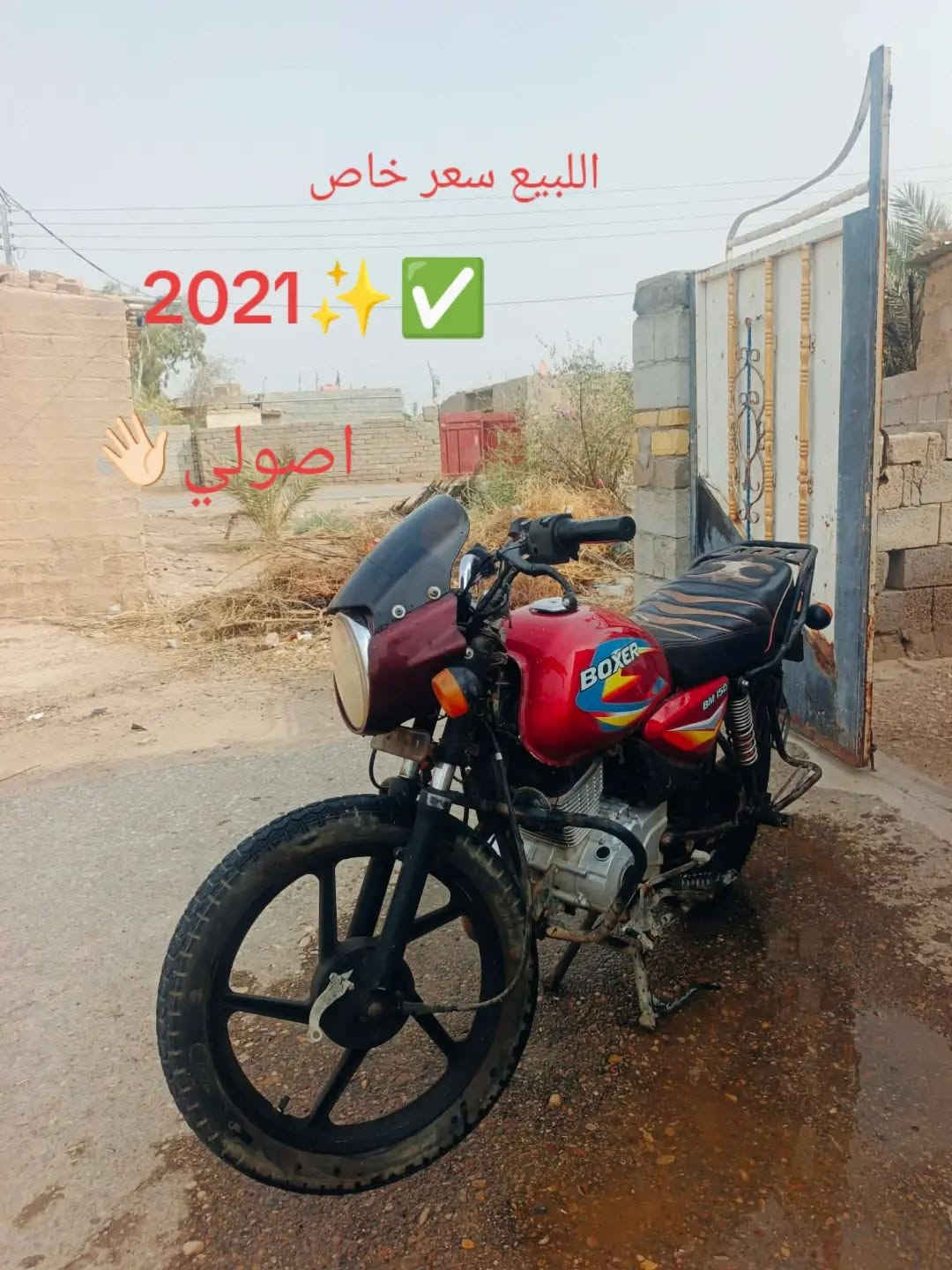 بوكسر • ٢٠٢١ • اصولي