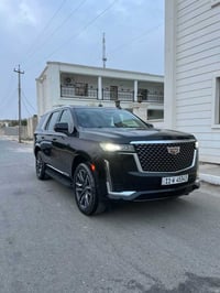 سكاليد • ٢٠٢٢ • سوق الشيوخ