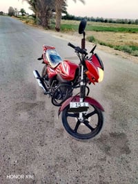 ذيب • مرقم • ٢٠١٩