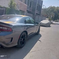 ٢٠٢١ • وارد امريكي • صبغ عام