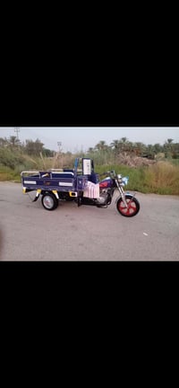 ستوته • مديل ٢٠ • صولي