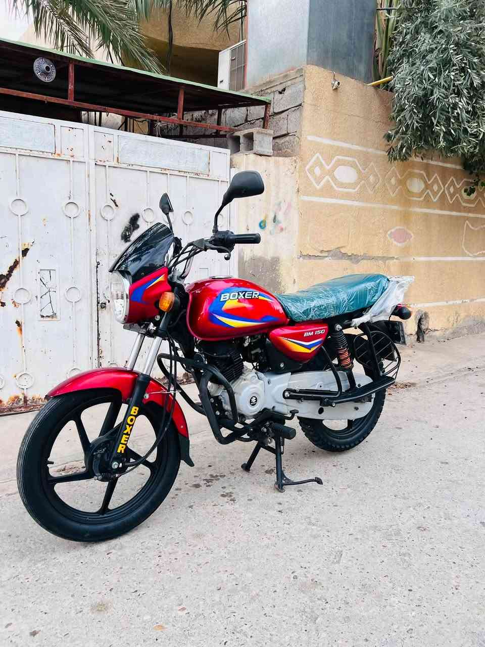 بوكسر • ٢٠٢١ • كفاله