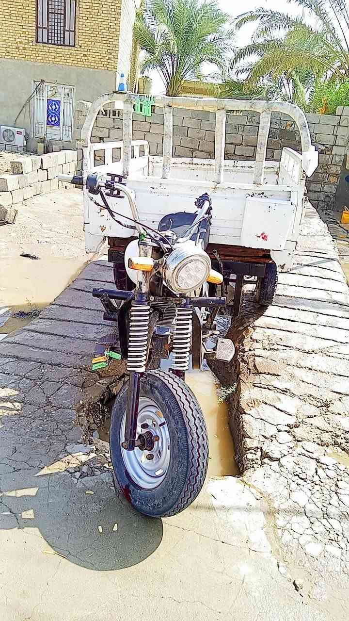 ستوته • اوراق ستنساخ • الشطرة