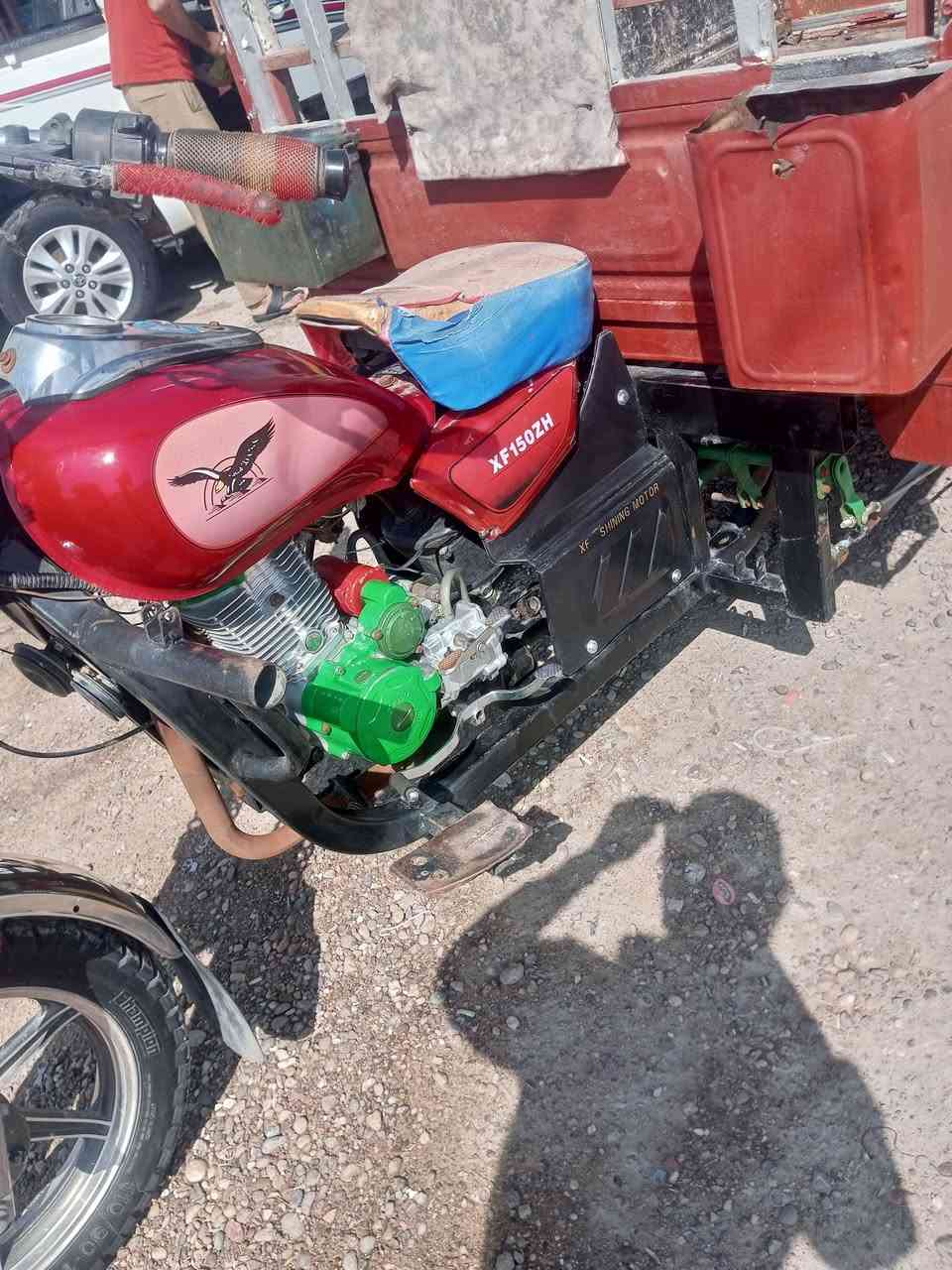 ستوته • بدون اوراق • النساف