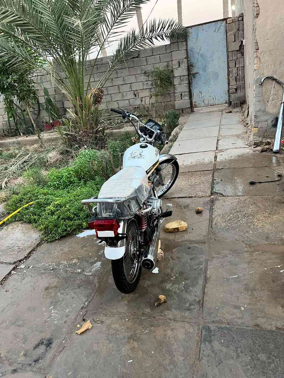 تايكر ٢٠٢٢ اوراق سكنر نهضه ومعدل لا بخار ولا تنقيص مكان ديوانيه دغاره سعر ٤٢٥ وبي مجال ***********
