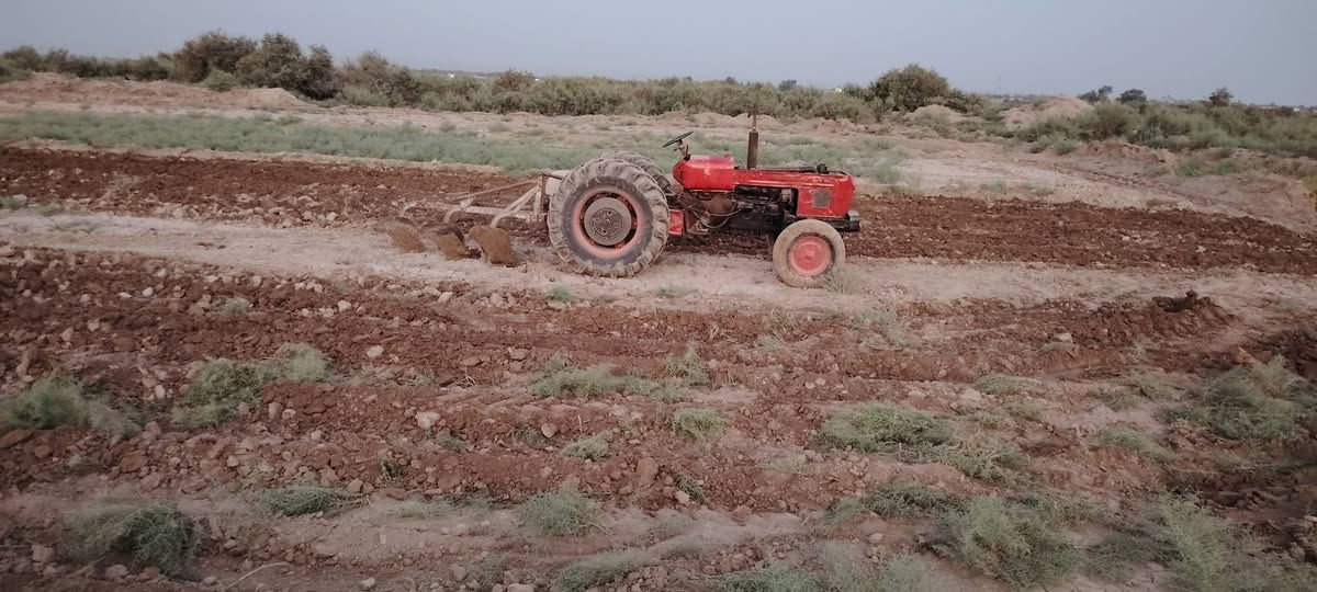 عنتررقم بابل بسمي تحويل تجفيت ريمر جديد جاهزة للكراب عل الفحص ويها جميع غراضها مع العربانة السعر 5مليون بيها مجال ت***********

