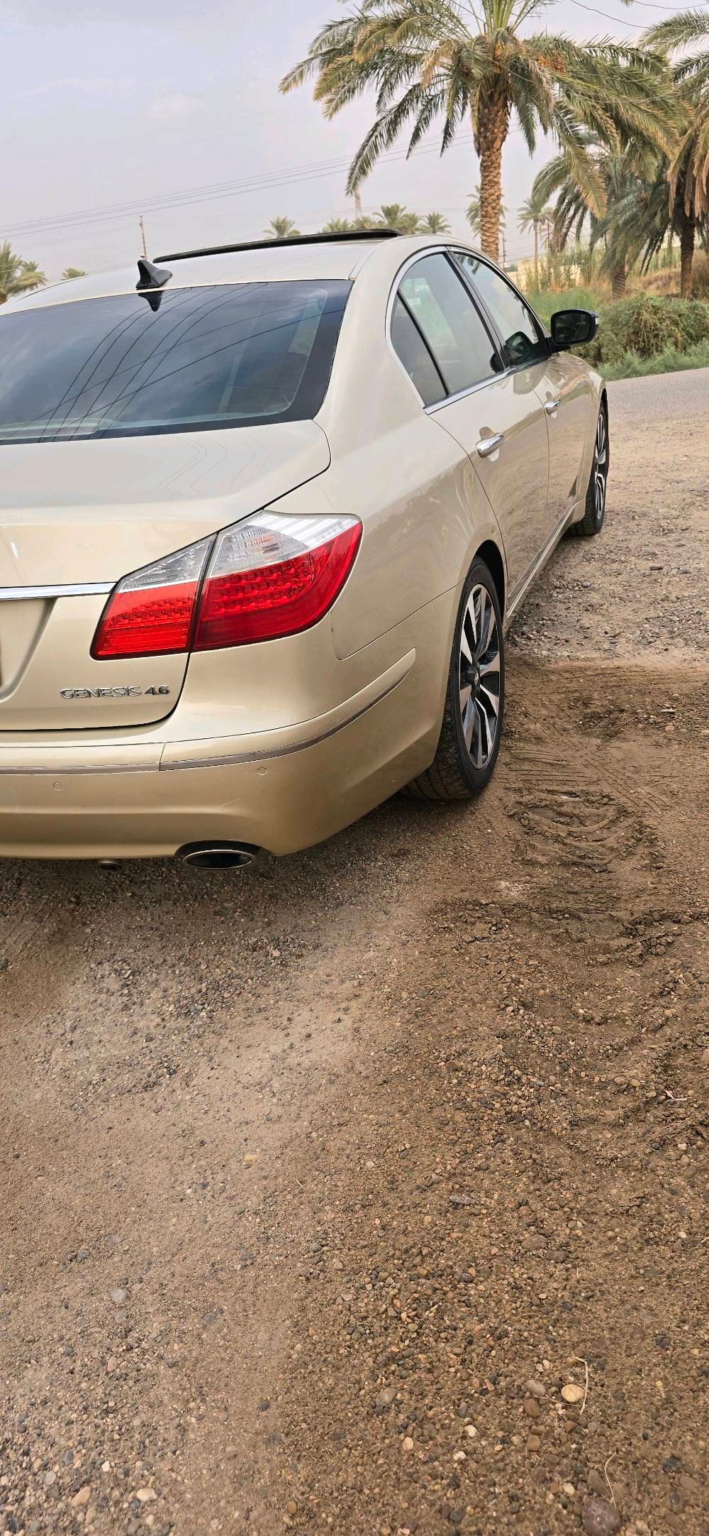 جنسس • ٢٠١١ • ٤٦٠٠ V8