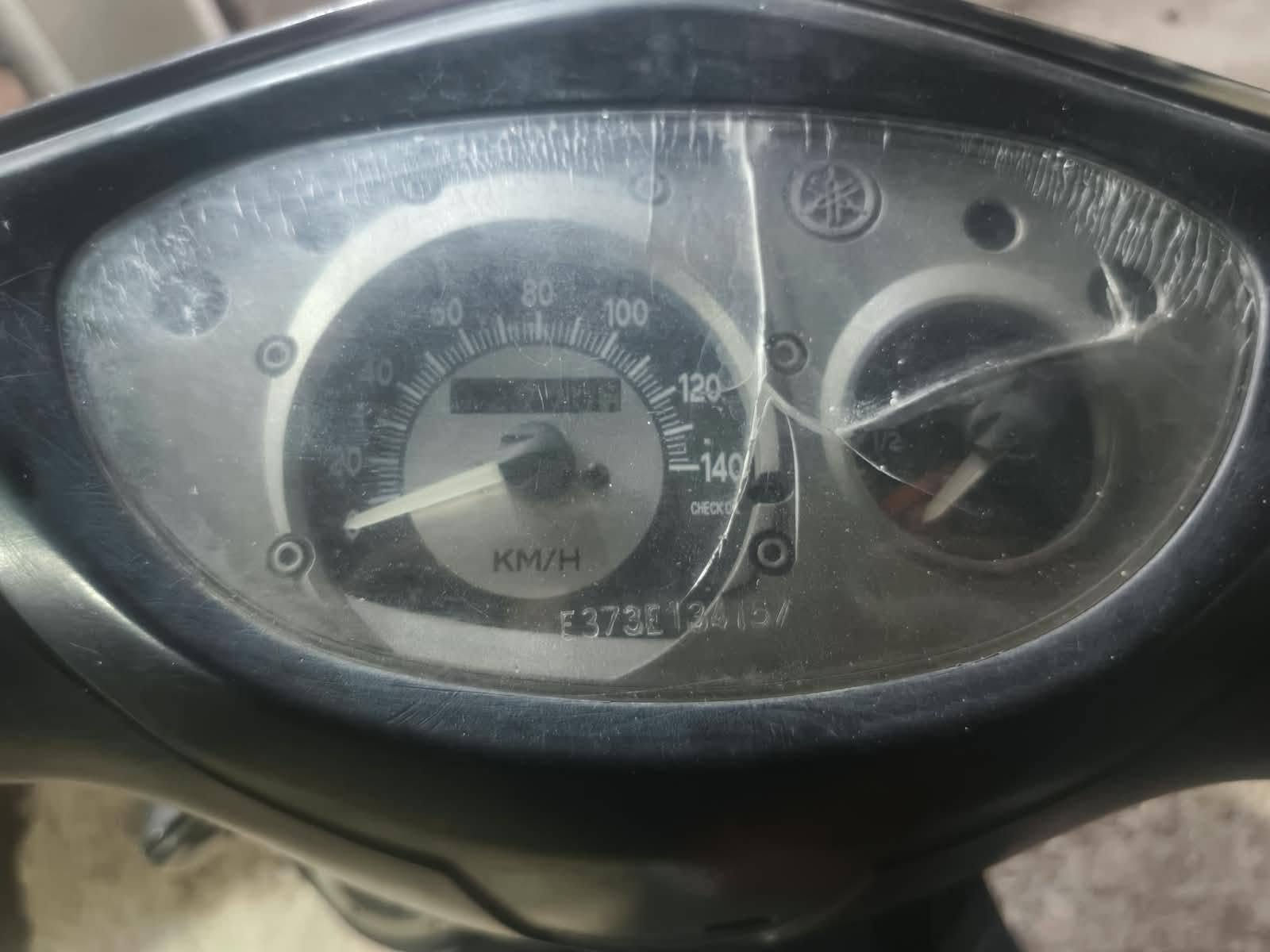 ثعلب • حلوة • بعقوبة