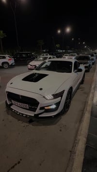 Mustang 2017 eco bust sayaka 125 m roshtwa be aiba zor paka gerw maikn...