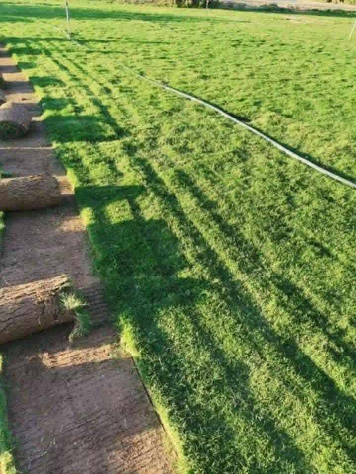 باسعار ثيل ديالى الطبيعي 🏡
أهلاً بكم في مجموعه مزارع ابو عباس الثيل  الهندي الطبيعي مزارع ديالئ 🌿🌱
 نقدم لكم افضل انوع الثيل الطبيعي عالي الجوده يتحمل كافه الضروف البيئية.🌦️🌞
دائم الخضرة🌿🌳 وباسعار تنافسيه ☘️❤️
#مستعدون لتجهيز وفرش الحدائق🏡 ودوائر الدولة🏡والمنازل🏡🏡
و تجهيز الملاعب🏟️ والمنتزهات الجودة العالية في العمل👷👷

مع خدمة التوصيل خلال24ساعه🚛🚛
الاسعار 💵💸 تختلف حسب الكمية 
للاستفسار الاتصال على : الرقم 
او التواصل مع الصفحه  او ارسال رسالة على الوتساب ‏‪***********
