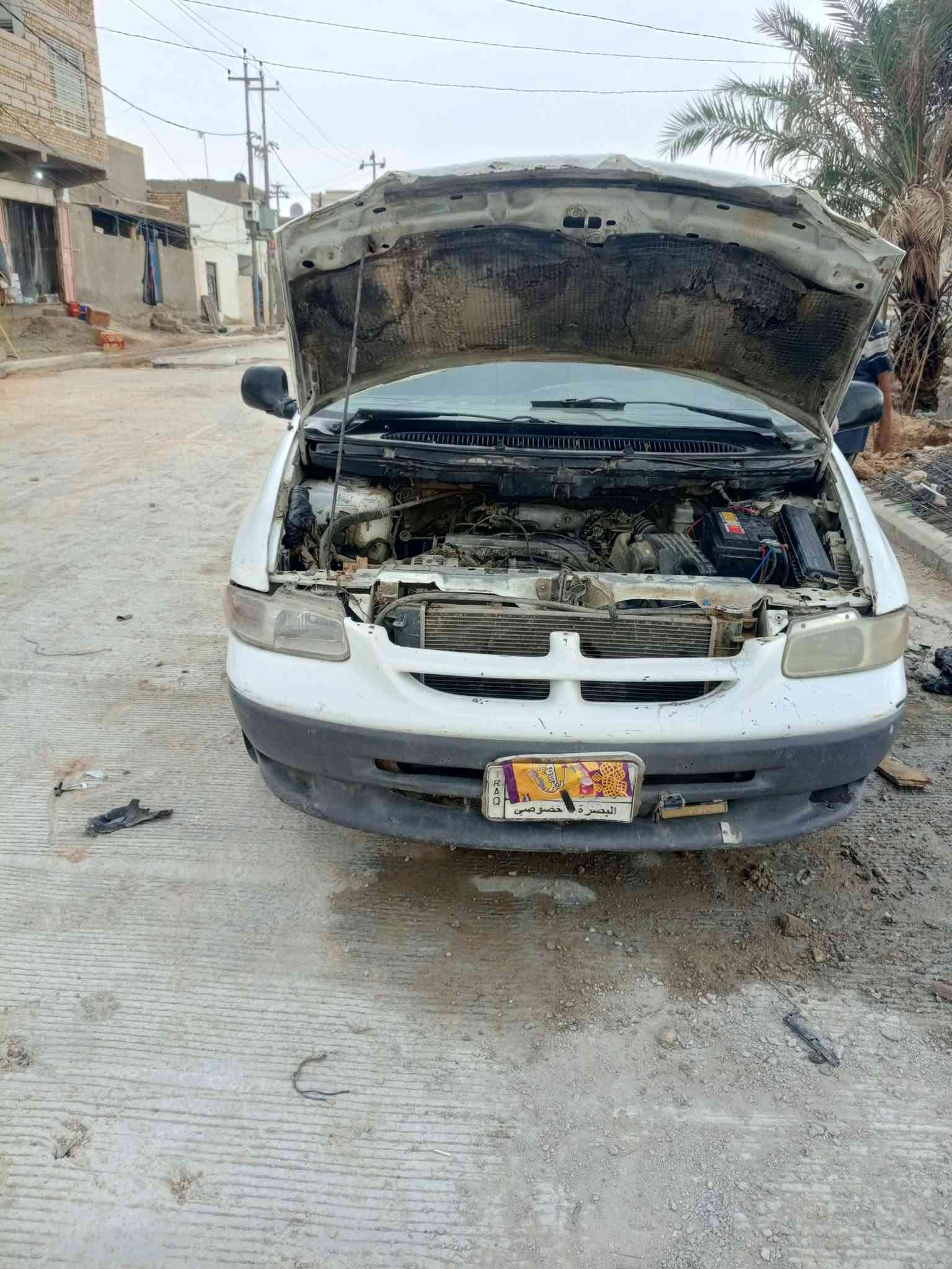 وينجي • رقم بصره • بالديوانيه