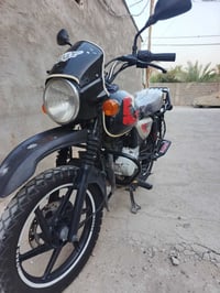 بوكسر • ٢٣ • مرقم