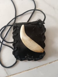سن ذيب • حقيقي • اصلي