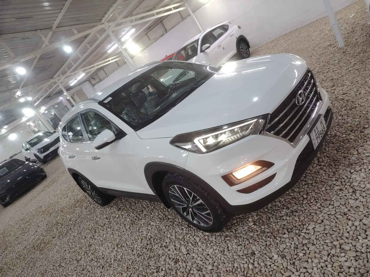 معرض درة بابل طريق حله نجف
🅿️🅿️ 

 .هونداي توسان الكاصد 

🅿️🅿️ مكفوله شرط السونار  

   

موديل    2020 ماشيه 55

✅✅السعر  203 ✅✅ ✅✅

رقم بغداد  انكليزي الجديد 

                       عدسات عدد🅿️🅿️5

 

🅿️🅿️ حساس خلفي 

🅿️🅿️لدنهاري  LED 

🅿️🅿️انظمت ترحيب   

🅿️🅿️ بصمه

🅿️🅿️بصمه عدد 2

كشن كهربائي عدد 2

🅿️حجم المحرك2000

🅿️🅿️تبريد امامي و خلفي 

🅿️🅿️المري قابلة للطي AUTO 

🅿️🅿️اشاير بلمرايا 

🅿️🅿️تحكم مقود جهتان 

🅿️🅿️المودات

🅿️🅿️الاوامر الصوتية 

‏🅿️🅿️DRIVEMODE ‏Comfort🌷eco🌷SPORT🌷SMART 

شاشة  بلادي كار بلي

 

🅿️🅿️كاميرا خلفيه دوارة كاميرا امامي بلادي

🅿️🅿️ترحيب بالمري 

🅿️🅿️يدة ابواب المنيوم 

🅿️🅿️ويل كب5 

🅿️🅿️سبير مانازل 

*********** وسام
