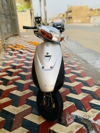 خفاش • رياضي • اوراق