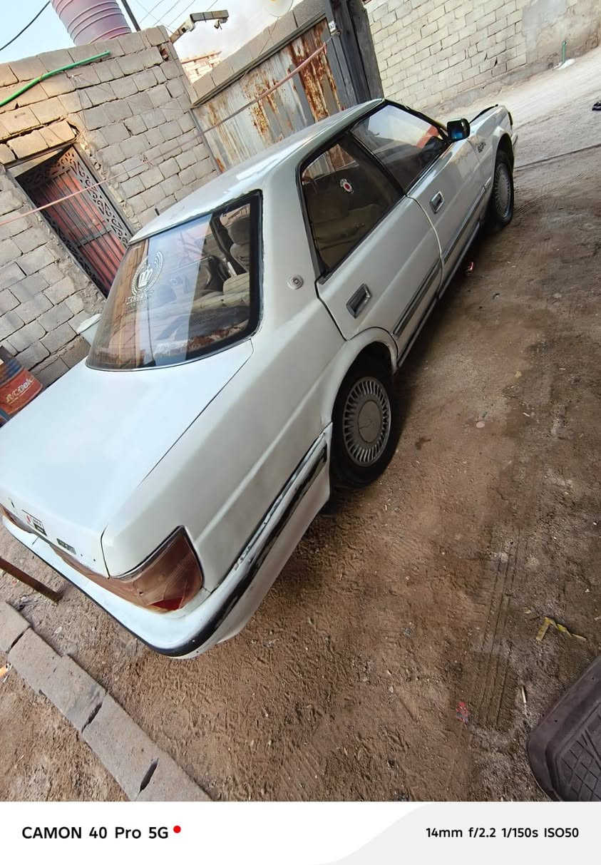 هارتوب • ١٩٩٠ • ابو الخصيب
