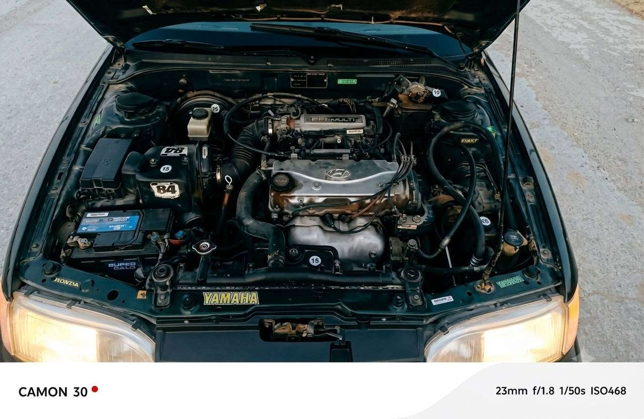 يا الله السلام عليكم
سوناته 2// موديل 94

 مكينه 2000  مبدل حاويه 

گير .. اوتو 

كهربائيات كله شغاله

مصبوغه احزام جماليه 

بدون ضربه

بدون خياس 

صدر جديد 

منظومه  تبريد جديده عوزه بس غاز

رقم بغداد انكليزي 

مشروع وطني 

سنويه ساقطه الشهر الثالث..! 

السعر 48

***********
