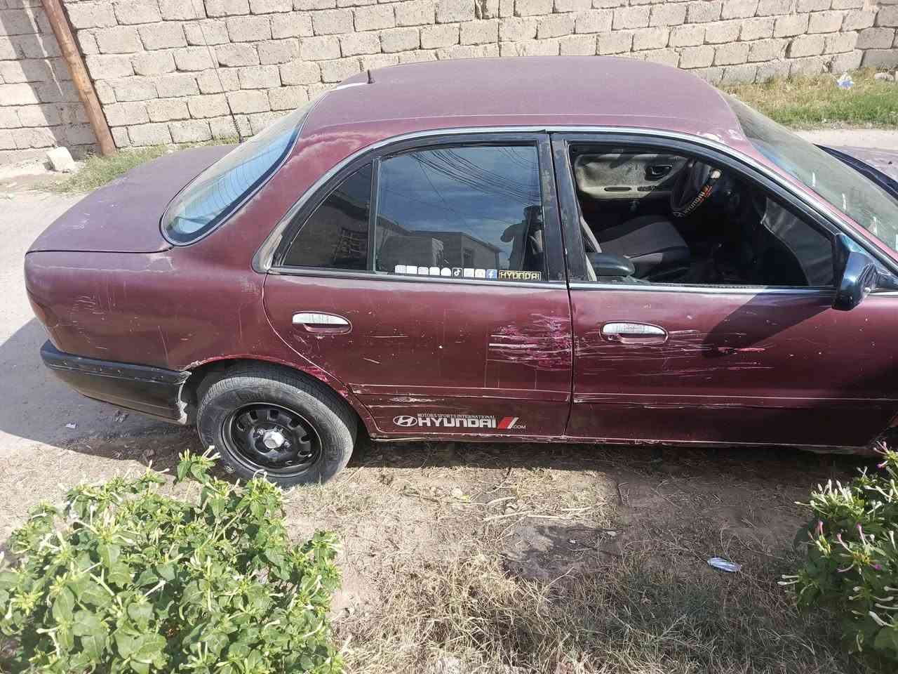 سوناته • ١٩٩٤ • فحص نينوه